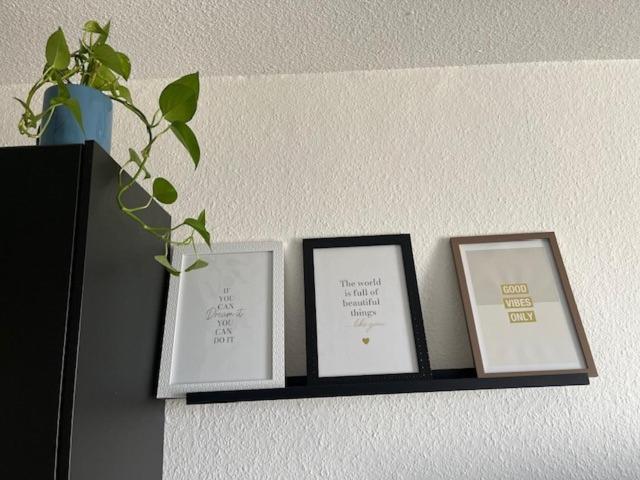Ferienwohnung Cosy Rent Strasbourg Orangerie Tv Wifi Cathedrale Exterior foto